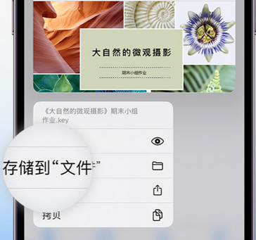 麻山apple维修中心分享iPhone文件应用中存储和找到下载文件