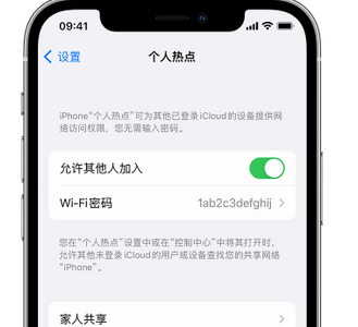 麻山apple服务站点分享iPhone上个人热点丢失了怎么办