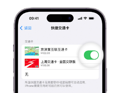 麻山apple维修点分享iPhone上更换Apple Pay快捷交通卡手绘卡面 