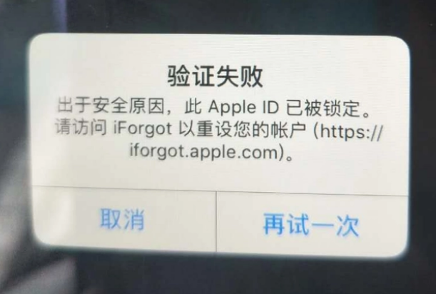 麻山iPhone维修分享iPhone上正常登录或使用AppleID怎么办 