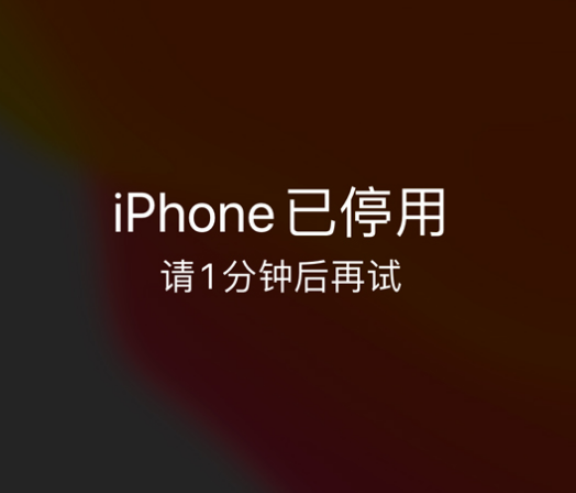 麻山苹果手机维修分享:iPhone 显示“不可用”或“已停用”怎么办？还能保留数据吗？ 