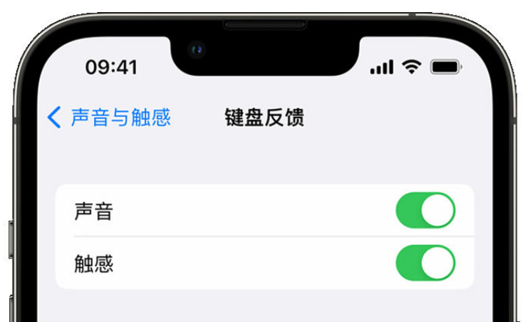 麻山苹果手机维修分享iPhone 14触感键盘使用方法 