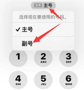 麻山苹果14维修店分享iPhone 14 Pro Max使用副卡打电话的方法 