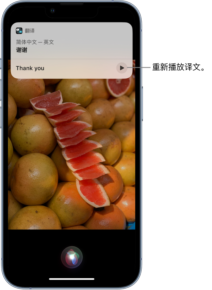 麻山苹果14维修分享 iPhone 14 机型中使用 Siri：了解 Siri 能帮你做什么 