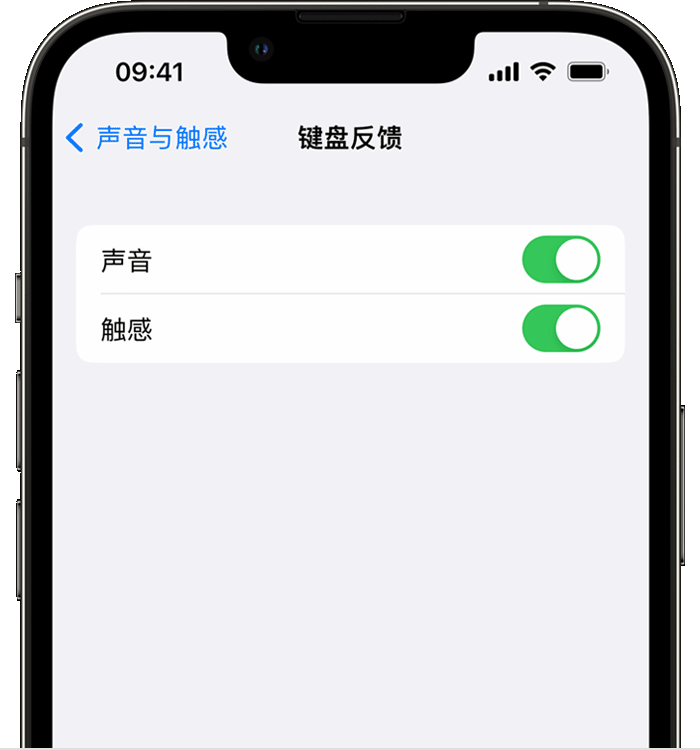 麻山苹果14维修分享iPhone 14 系列机型如何开启键盘声音或触感反馈 