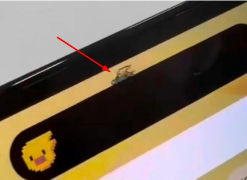 麻山苹果14维修分享iPhone 14 Pro Max灵动岛怎么养宠物 