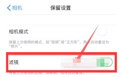 麻山苹果13维修分享iPhone13拍照有绿点是怎么回事 