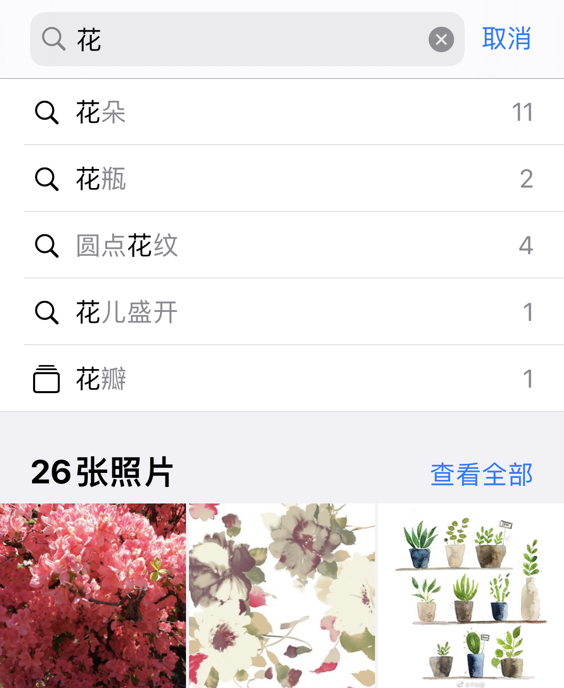 麻山苹果手机维修分享iPhone 小技巧 