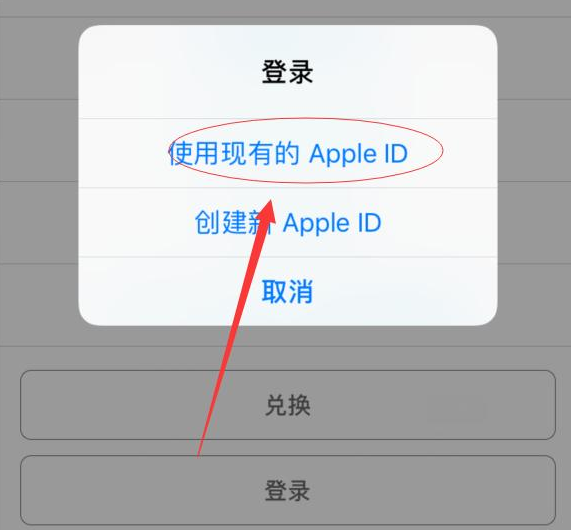 麻山苹果手机维修分享两台iPhone设备可以同时登录一个Apple ID吗 