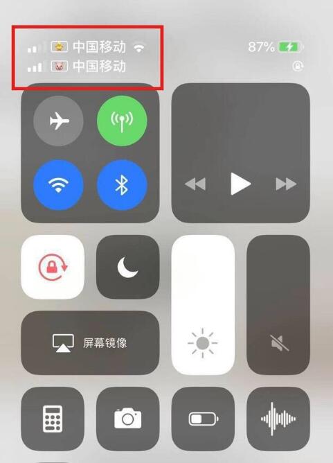 麻山苹果手机维修分享为 iPhone 12 双卡设置标签 