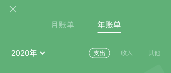 麻山苹果手机维修分享如何在 iPhone 上查看支付宝和微信年支出账单 